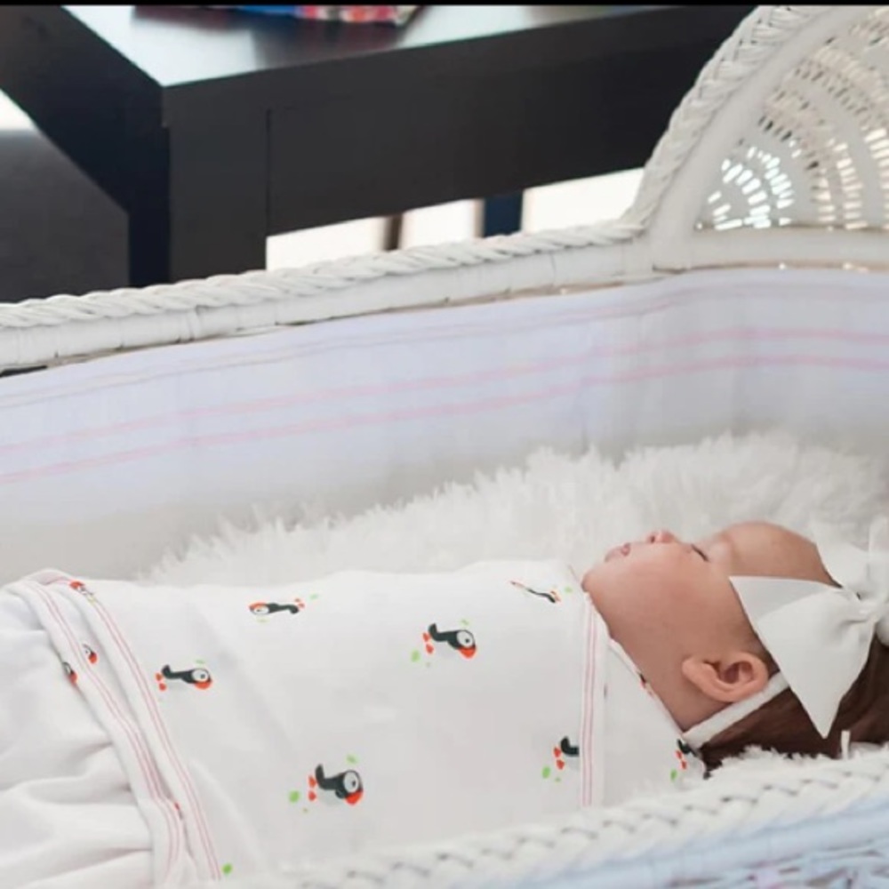 Nested Bean Zen Swaddle Classic 0-6 Months